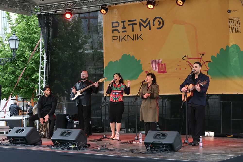 Ritmo PIKNIK in Győr Mekli Zoltán