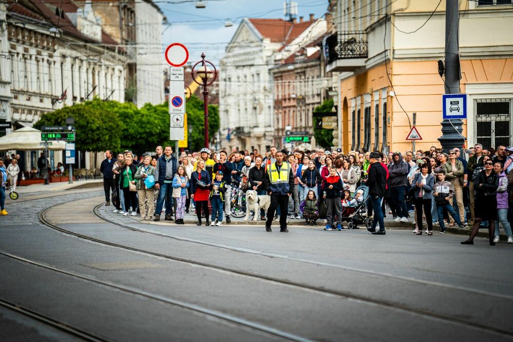 Bandaloop: Flock in Miskolc - Day 2 Kiss Viktor / Bartók Tavasz