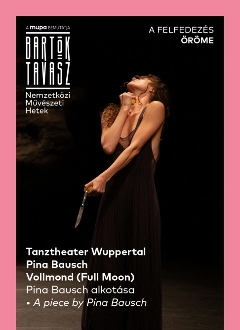 Tanztheater Wuppertal Pina Bausch: Vollmond